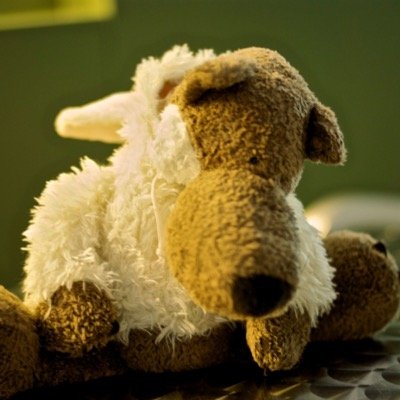 FishocatX's profile picture. #Endocrine #thyroid #surgeon based in #hongkong 💚in #Scotland 💕 #Travel & #singlemalt #Whisky tweets are my own #buylabuyla