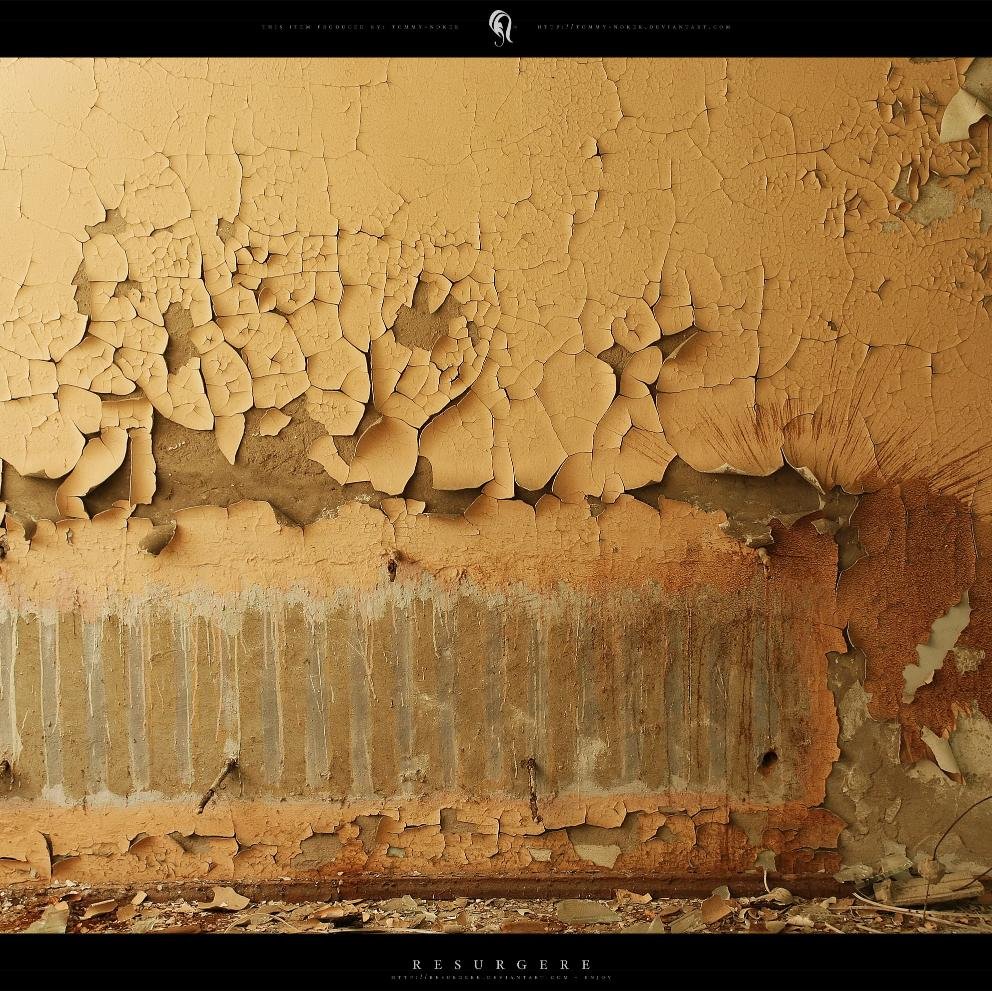 zuu787's profile picture. 