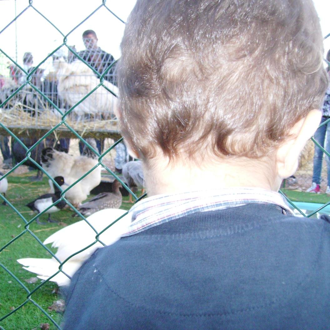 7_Novembre's profile picture. 