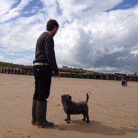 Alex Malpass (@alexmalpass3) 's Twitter Profile