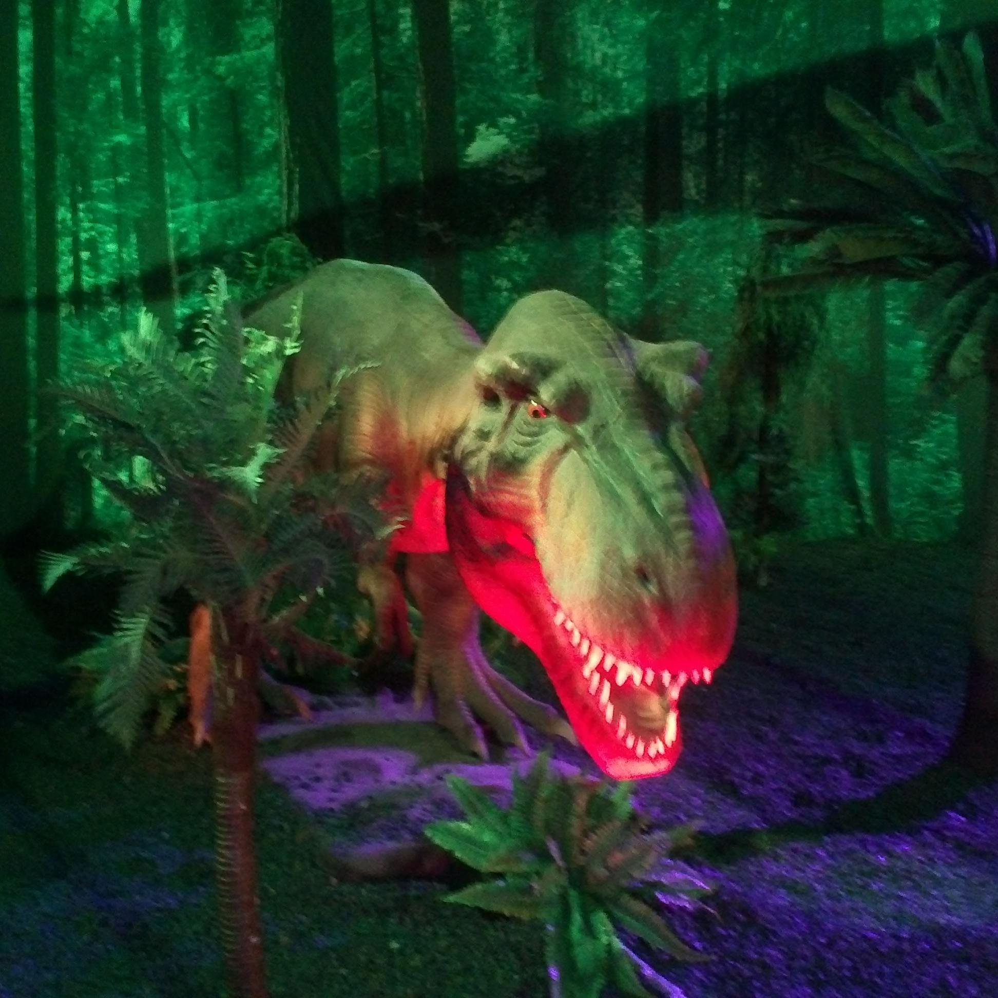 mulizko's profile picture. 