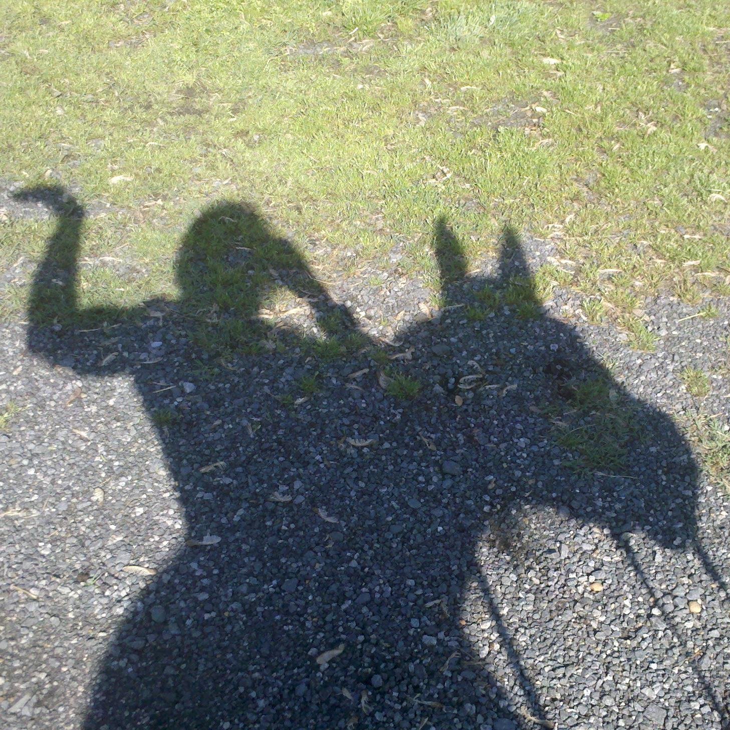 Words, music, horses