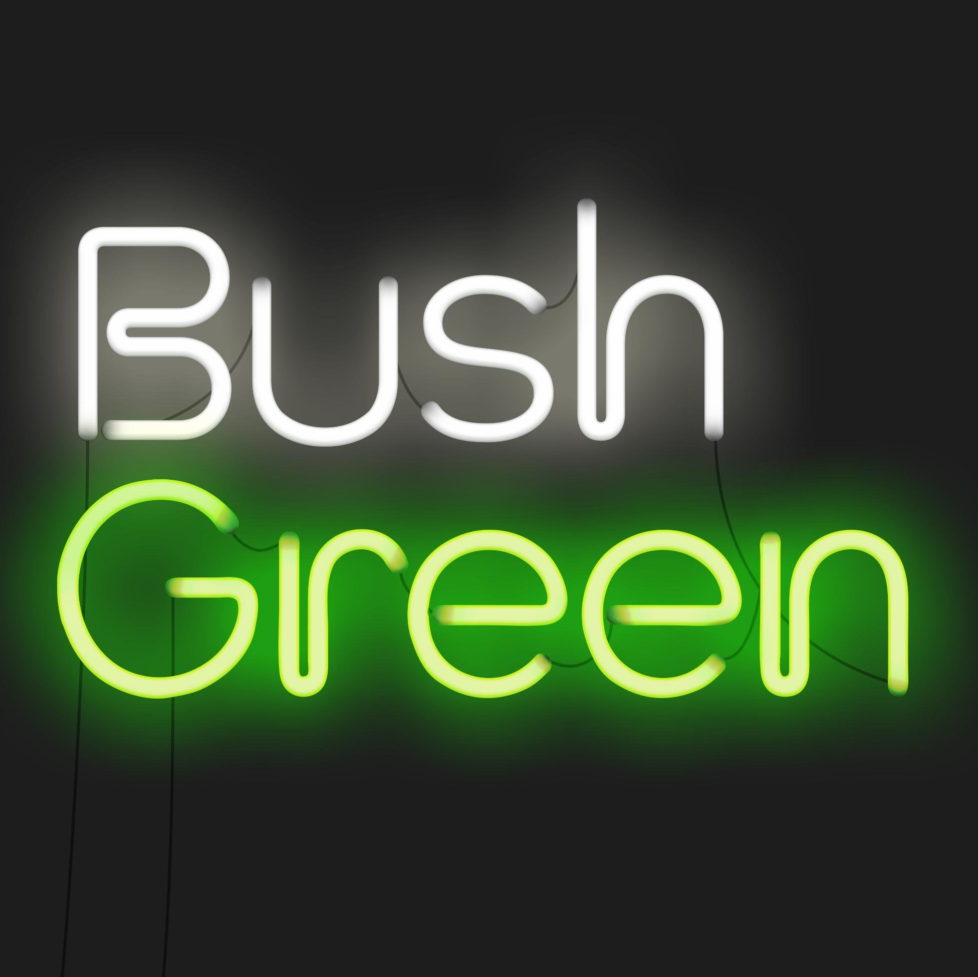 BushGreen is for writers and audiences, online and in the world, not rooted in our building but a heartbeat that runs from the stage out the door and online.