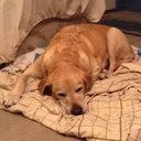 Cari Johnson - @cmjohnson17 - Twitter