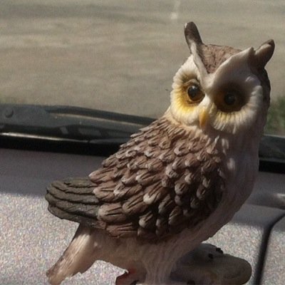 MglNamsrai's profile picture. 