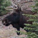 Alan Bromley - @bromleyphoto - Twitter