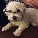 Moira McBride - @Silverstudent - Twitter