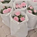 ام رغد (@05038F) Twitter