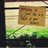 m_sanrosendo_'s profile image