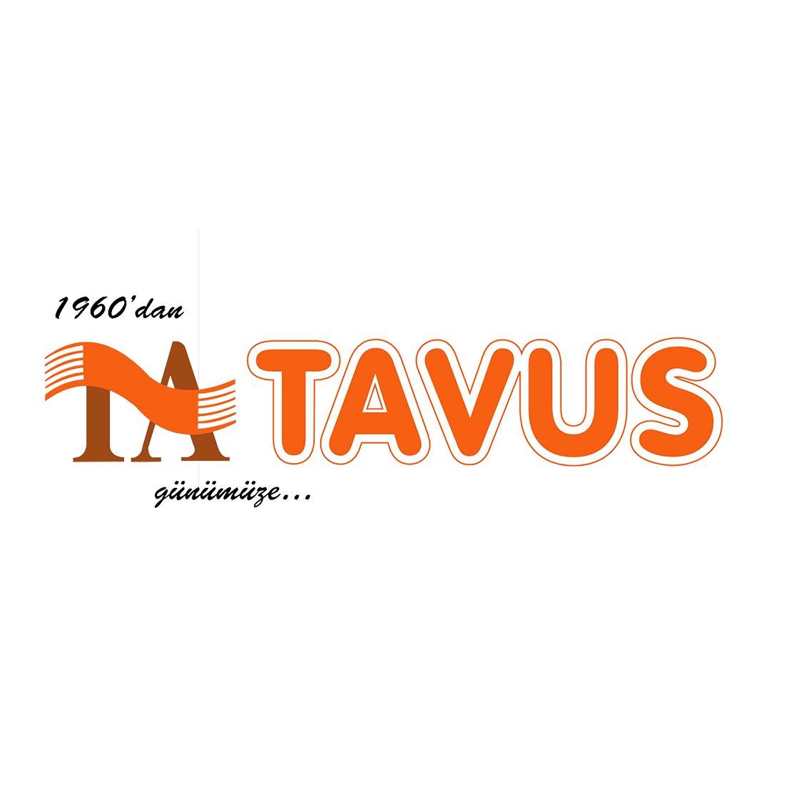Galeri Tavus Cami Halisi