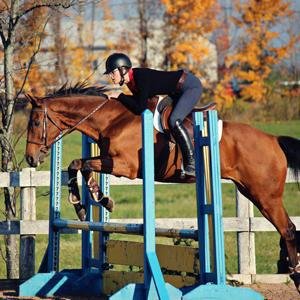 Brand new facility.20 mins from K-W and Stratford.Full service barn.Great care.