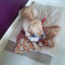 Jade Knights - @40Jadeknights - Twitter