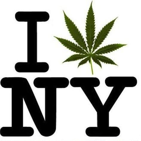Our mission is to educate the public about the benefits and uses of cannabis, hemp & CBD oil and promote laws that protect patient rights.