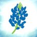 BTCS (@btcs_health) Twitter profile photo BTCS (@btcs_health) Twitter profile photo