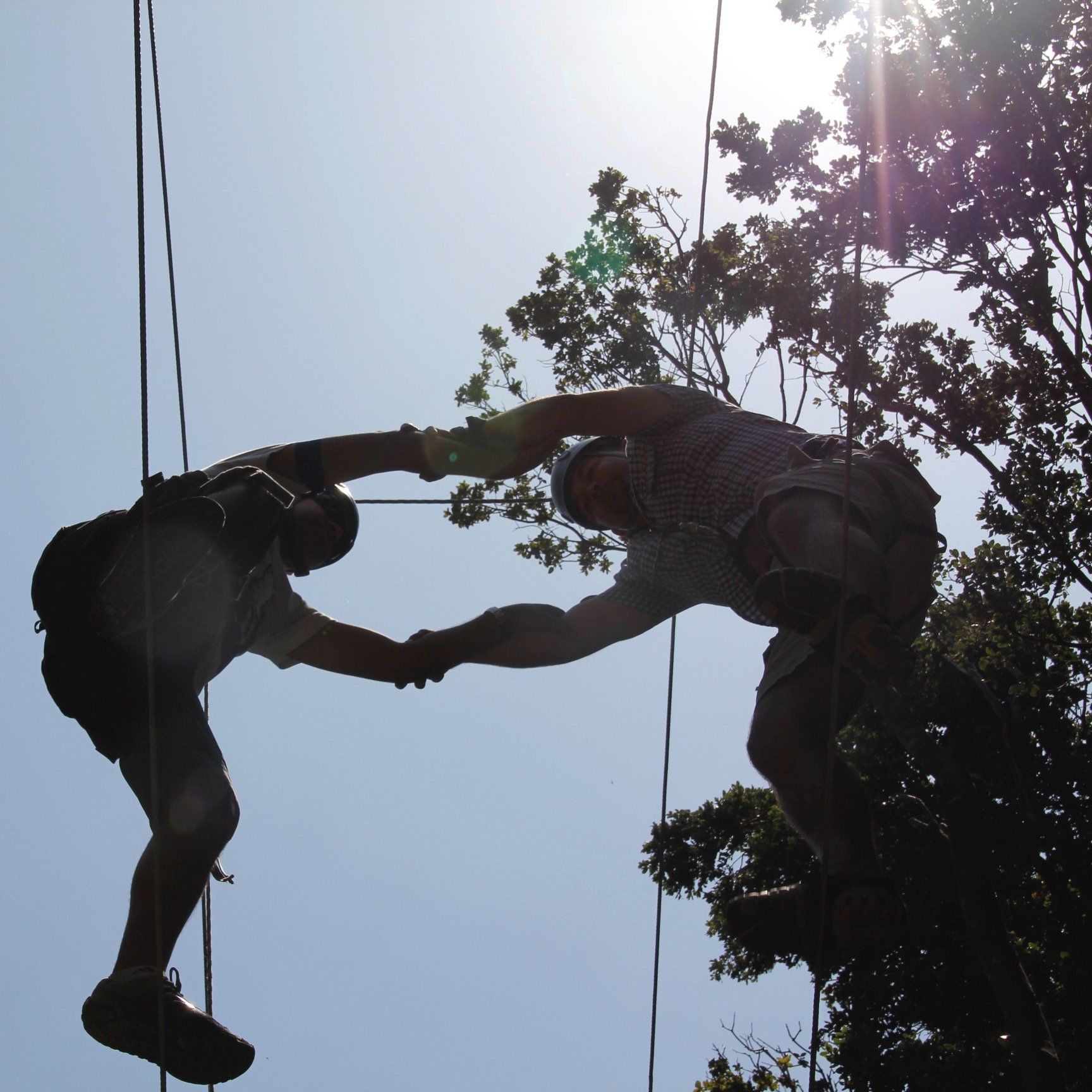 andesVENTURES's profile picture. 