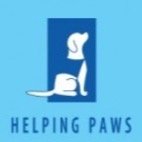 Helping Paws service puppies are coming to Chaska High School to show students all they can do! Come join us December 4th during 8B to learn more :)