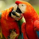 federico  lozada - @FEDERICOLOZADA - Twitter