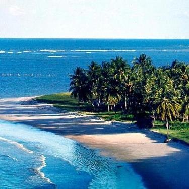 sun_tourism's profile picture. 