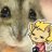 みずよし君は鼻ぺちゃハムスターさんのプロフィール画像