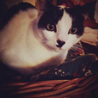 Naly84's profile picture. Nessun tweet