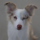 Debbie Kaplan - @safetydlk - Twitter