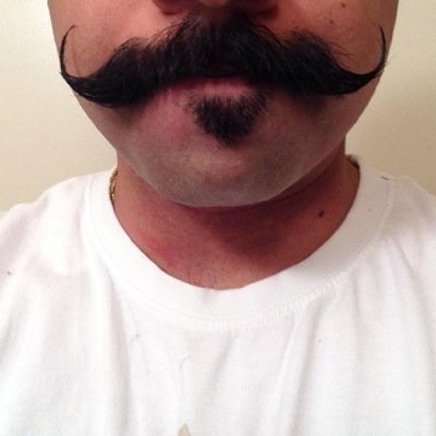 El Mustachio El Stacheo Twitter