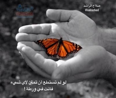 ‏ماجستير خدمه اجتماعيه(علاج اجتماعي) (اخصائيه وباحثه اجتماعيه )مهتمه بالدورات والاعمال التطوعيه