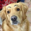 Erik Robert Lynch - @thateriklynch - Twitter