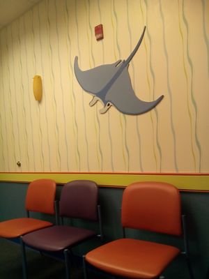 TamareyTV's profile picture. 