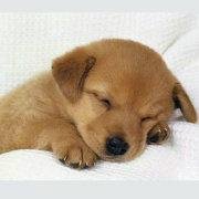 fateanalysis's profile picture. 面相+手相+八字综合断验，如多维度吻合，则板上钉钉；高收费。其它忧疑可风水、解梦、算卦。