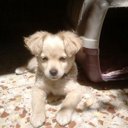 Rafael Reyes Blanco - @karraskaleon - Twitter