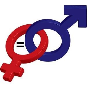 Multimedia project investigating how easy it is for men to embrace #feminism, why the word can be so polarising and #sexism on campus. Tweets by @MaddySupple