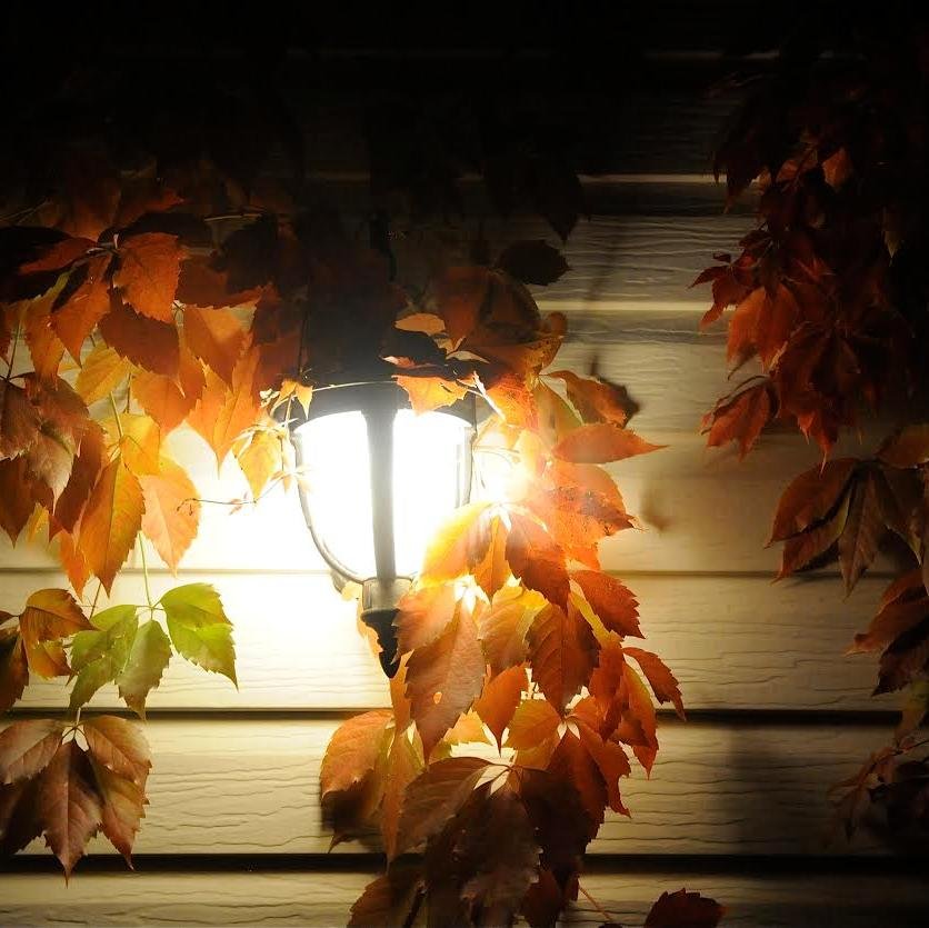 CarolynUgolini's profile picture. Family Historian par excellence