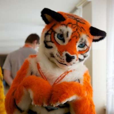 hi my friends call me sunny im a orange fur ^_^ if you see me at a convention say hi and lets take a picture