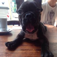 borja sainz Ahumada (@borjasai) 's Twitter Profile