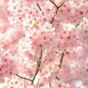 hazel chavez - @hazelDaniela2 - Twitter