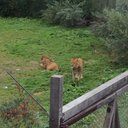 Patrick Renard - @Patrick_et_Lina - Twitter