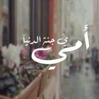سبحان الله والحمدلله ولا اله الا الله والله اكبر... سبحان الله وبحمده سبحان الله العظيم... استغفر الله ولاحول ولاقوه الابالله...