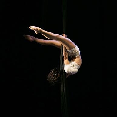 voiceboxed's profile picture. world of pure imagination.