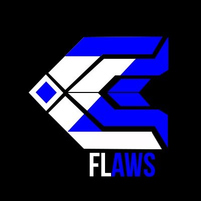 Competitive gamer in a clan called chill
