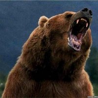 Chris Fallica (@chrisfallica) 's Twitter Profile