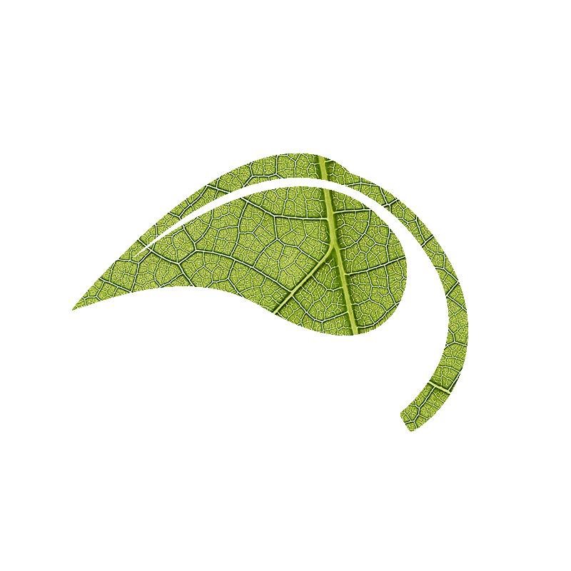 CentrERE_UQAM's profile picture. Centre de recherche en éducation et formation relatives à l'environnement et à l'écocitoyenneté | UQAM