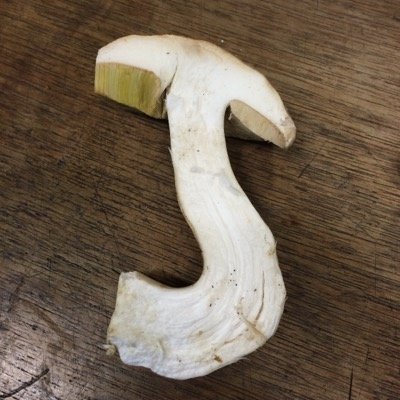 jameesyb's profile picture. 