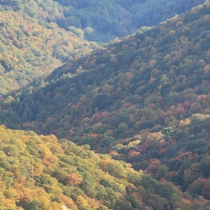 MaconPlaces's profile picture. Places, events, news and happenings in Macon County, North Carolina