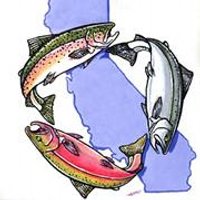Salmonid Restoration (@ca_salmon) 's Twitter Profile