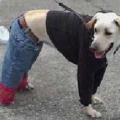 Hi. I tweet world's funniest news in this moment! If you like them, please visit also my website. Thank you!