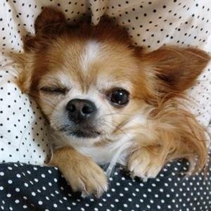 ないです。