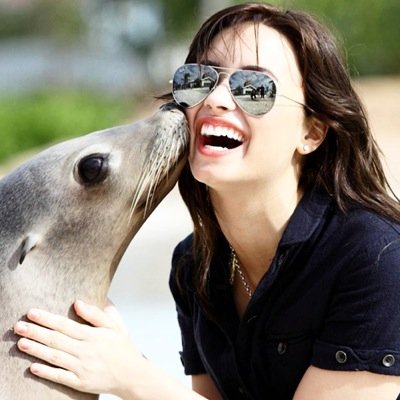 strongforever20's profile picture. Tartaruguinha