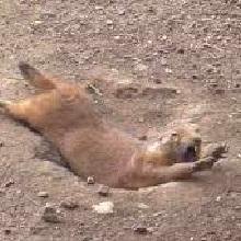 Hi. I tweet world's funniest news in this moment! If you like them, please visit also my website. Thank you!