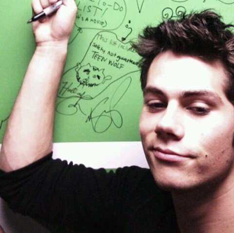 dylanlaugh's profile picture. @dylanobrien I love u !     ~    i luh ya luh ya dylan x)